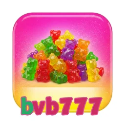 bvb777